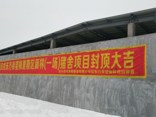 齊齊哈爾農(nóng)業(yè)一期新林繁殖場(chǎng)項(xiàng)目